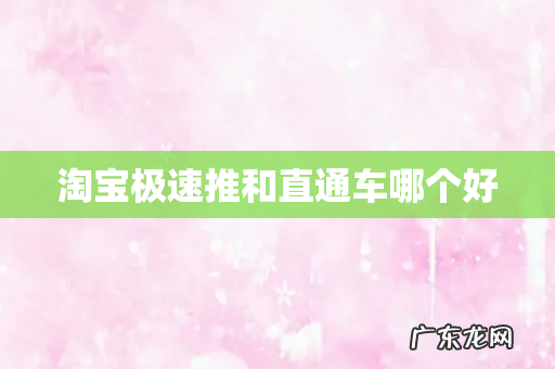 淘宝极速推和直通车哪个好