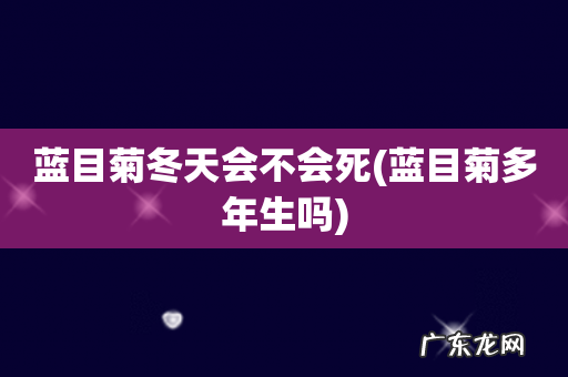 蓝目菊多年生吗 蓝目菊冬天会不会死
