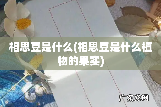 相思豆是什么植物的果实 相思豆是什么
