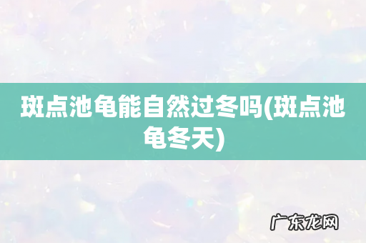 斑点池龟冬天 斑点池龟能自然过冬吗