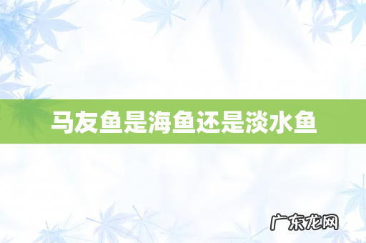 马友鱼是海鱼还是淡水鱼