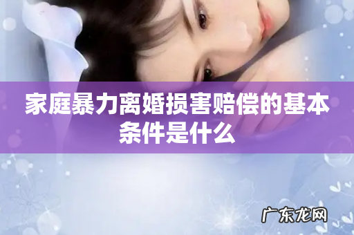 家庭暴力离婚损害赔偿的基本条件是什么