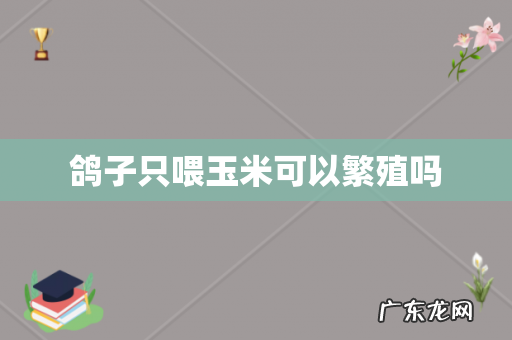 鸽子只喂玉米可以繁殖吗