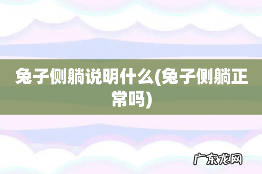 兔子侧躺正常吗 兔子侧躺说明什么