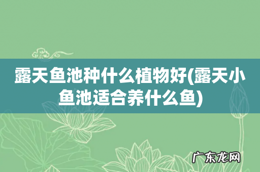 露天小鱼池适合养什么鱼 露天鱼池种什么植物好