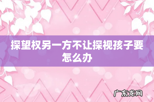 探望权另一方不让探视孩子要怎么办