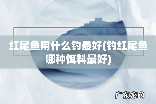 钓红尾鱼哪种饵料最好 红尾鱼用什么钓最好