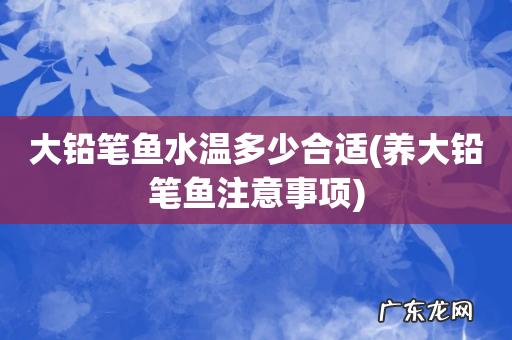 养大铅笔鱼注意事项 大铅笔鱼水温多少合适