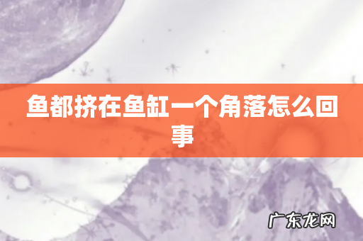 鱼都挤在鱼缸一个角落怎么回事