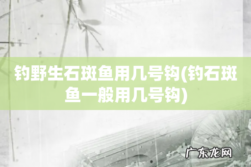 钓石斑鱼一般用几号钩 钓野生石斑鱼用几号钩