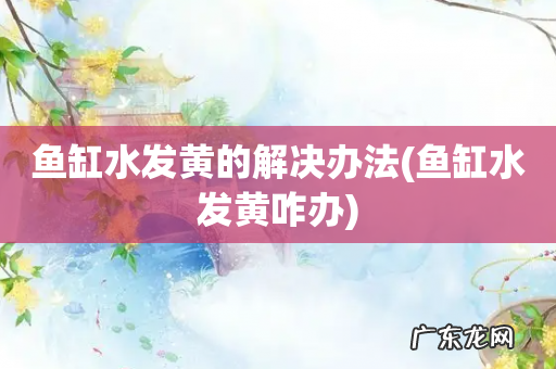 鱼缸水发黄咋办 鱼缸水发黄的解决办法