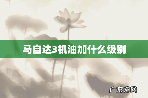 马自达3机油加什么级别