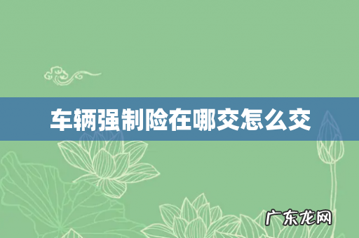 车辆强制险在哪交怎么交