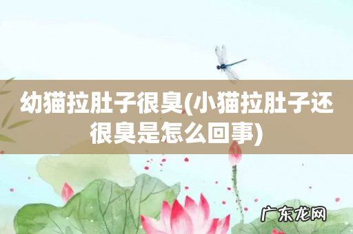 小猫拉肚子还很臭是怎么回事 幼猫拉肚子很臭