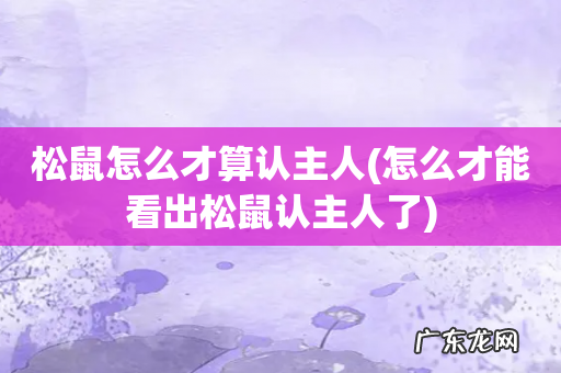 怎么才能看出松鼠认主人了 松鼠怎么才算认主人