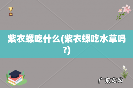 紫衣螺吃水草吗? 紫衣螺吃什么