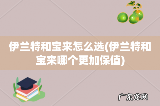 伊兰特和宝来哪个更加保值 伊兰特和宝来怎么选