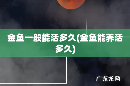 金鱼能养活多久 金鱼一般能活多久