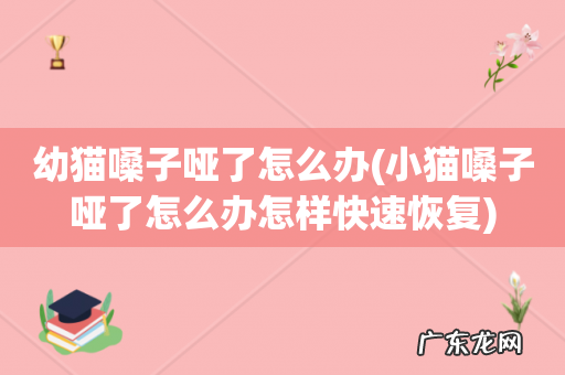 小猫嗓子哑了怎么办怎样快速恢复 幼猫嗓子哑了怎么办