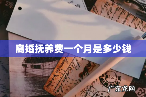 离婚抚养费一个月是多少钱