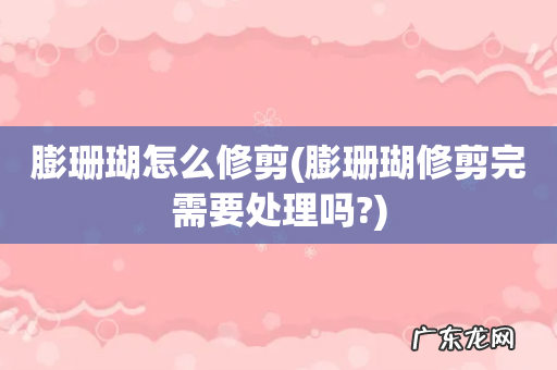 膨珊瑚修剪完需要处理吗? 膨珊瑚怎么修剪