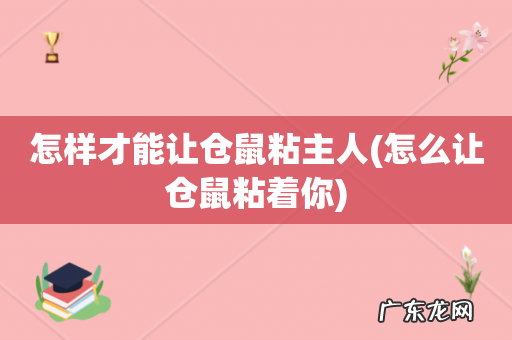 怎么让仓鼠粘着你 怎样才能让仓鼠粘主人