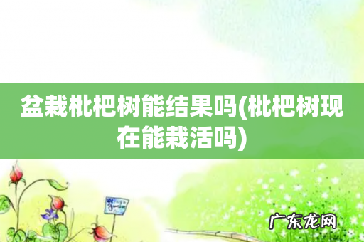 枇杷树现在能栽活吗 盆栽枇杷树能结果吗