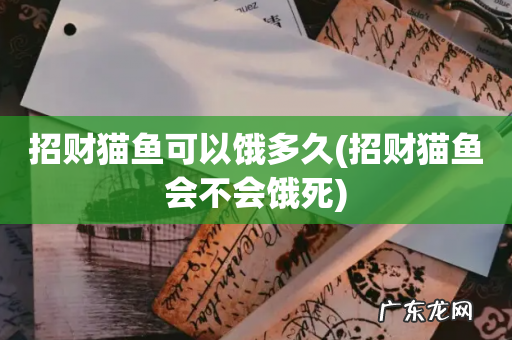 招财猫鱼会不会饿死 招财猫鱼可以饿多久