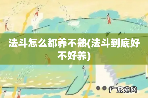 法斗到底好不好养 法斗怎么都养不熟