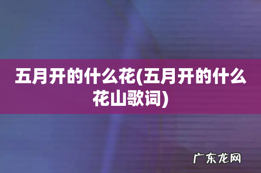 五月开的什么花山歌词 五月开的什么花