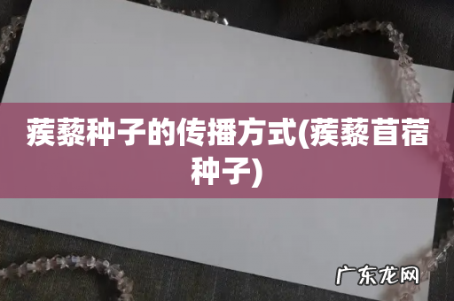 蒺藜苜蓿种子 蒺藜种子的传播方式