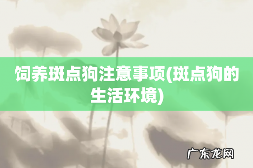 斑点狗的生活环境 饲养斑点狗注意事项