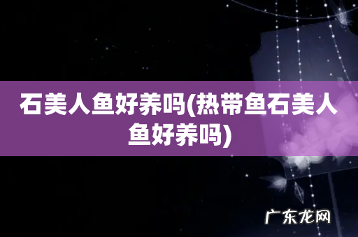 热带鱼石美人鱼好养吗 石美人鱼好养吗