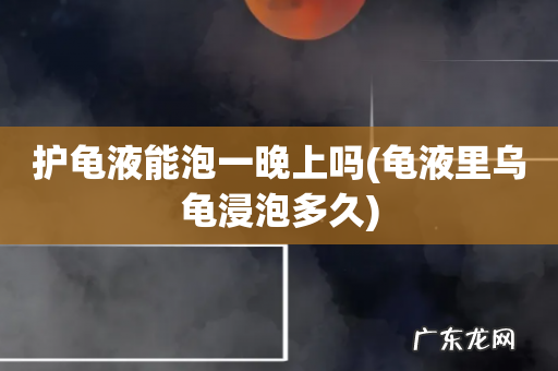 龟液里乌龟浸泡多久 护龟液能泡一晚上吗