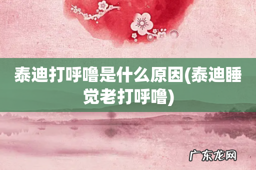 泰迪睡觉老打呼噜 泰迪打呼噜是什么原因