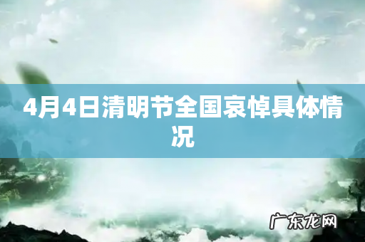 4月4日清明节全国哀悼具体情况
