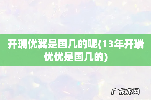 13年开瑞优优是国几的 开瑞优翼是国几的呢