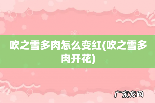 吹之雪多肉开花 吹之雪多肉怎么变红