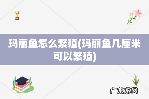 玛丽鱼几厘米可以繁殖 玛丽鱼怎么繁殖