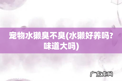 水獭好养吗?味道大吗 宠物水獭臭不臭