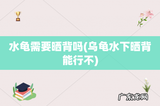 乌龟水下晒背能行不 水龟需要晒背吗