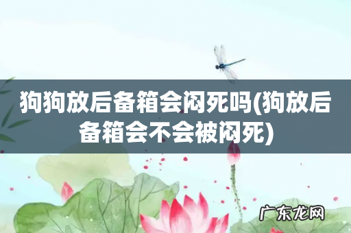 狗放后备箱会不会被闷死 狗狗放后备箱会闷死吗