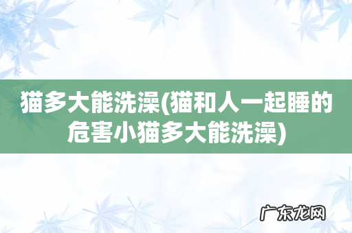 猫和人一起睡的危害小猫多大能洗澡 猫多大能洗澡
