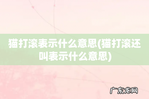 猫打滚还叫表示什么意思 猫打滚表示什么意思