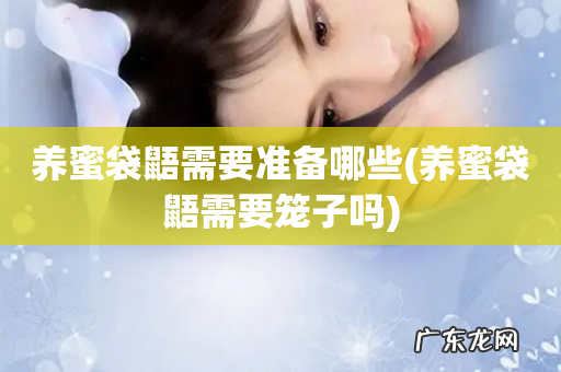 养蜜袋鼯需要笼子吗 养蜜袋鼯需要准备哪些