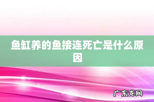 鱼缸养的鱼接连死亡是什么原因