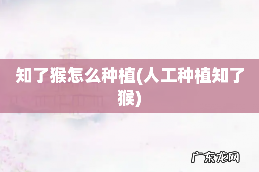 人工种植知了猴 知了猴怎么种植