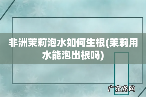 茉莉用水能泡出根吗 非洲茉莉泡水如何生根