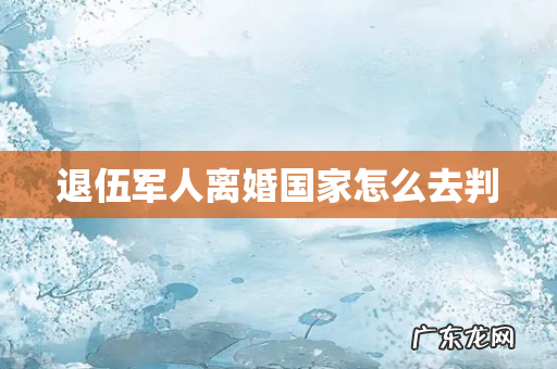退伍军人离婚国家怎么去判