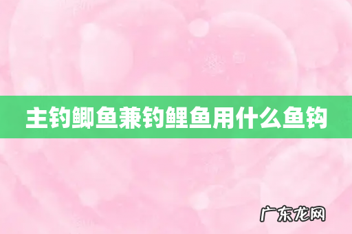 主钓鲫鱼兼钓鲤鱼用什么鱼钩